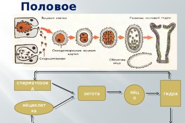 Кракен площадка нарко