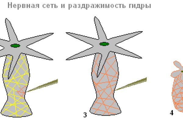 Как восстановить пароль на кракене